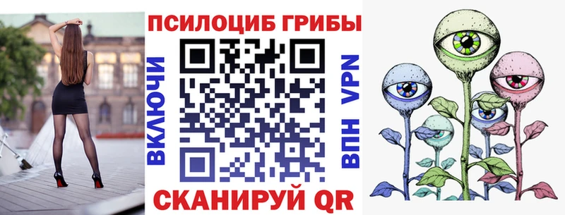 цена наркотик  Иваново  Псилоцибиновые грибы MAGIC MUSHROOMS 
